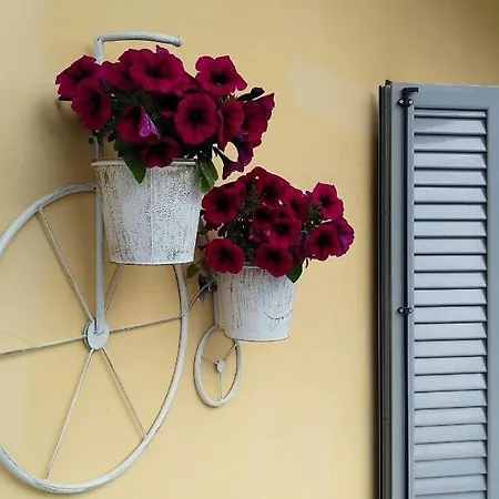 Katerina Apartment. Corfu Town Lejlighed *